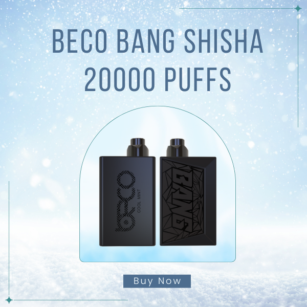 Beco Bang Shisha 20000 Puffs Disposable Device Front View