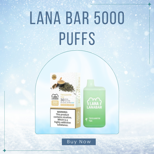 LANA Bar 5000 Puffs Disposable Vape Icy Flavor View