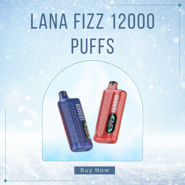 LANA Fizz 12000 Puffs Disposable Vape Modern Design View