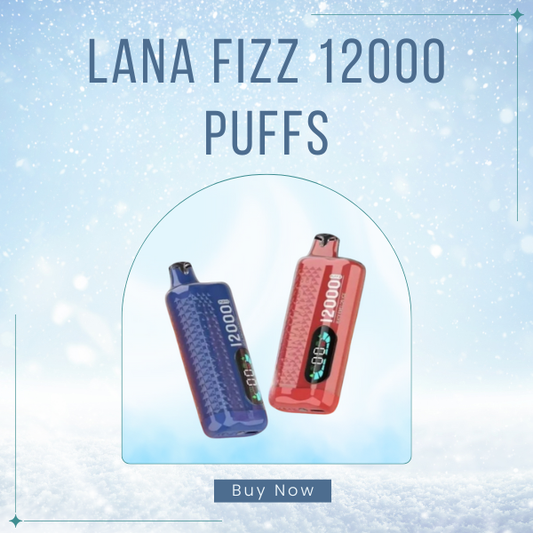 LANA Fizz 12000 Puffs Disposable Vape Modern Design View