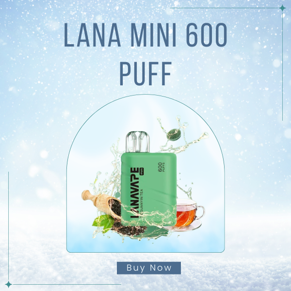 LANA Mini 600 Puffs Disposable Vape Compact Size View