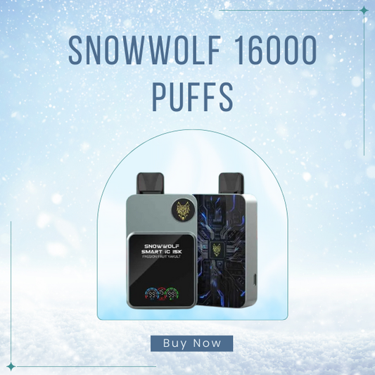 Snowwolf 16000 Puffs Disposable Vape Smart Screen View