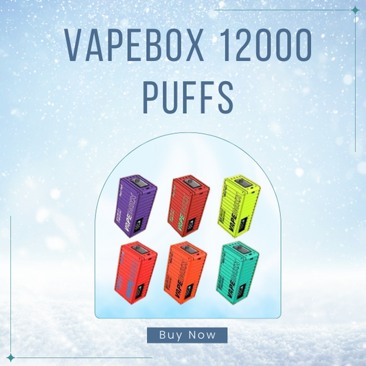 Vapebox 12000 Puffs Disposable Vape Front View and Digital Screen